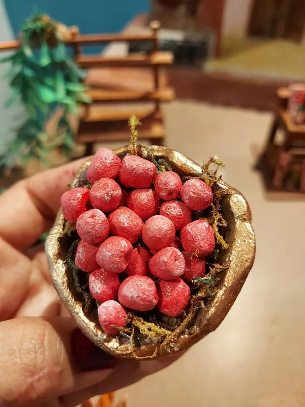 Venta de Marañón Curazao - Imagen 2