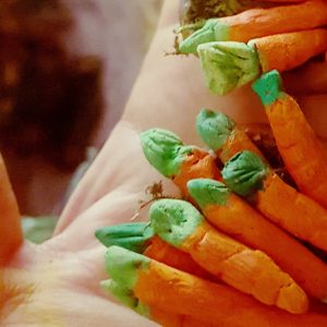 zanahorias-miniaturas