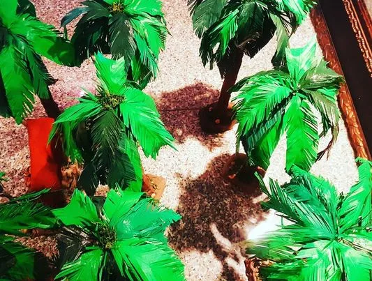 palmeras belen