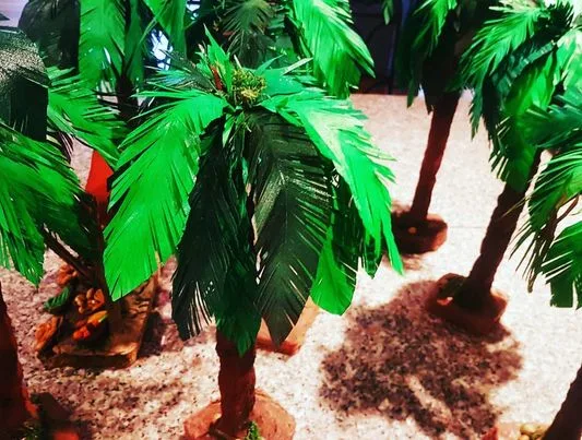 Palmeras - Imagen 3