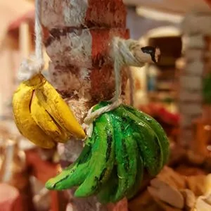 Plátanos y Guineos guindando