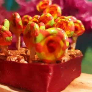Caramelos