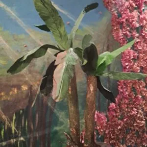 Cultivo de Plátano